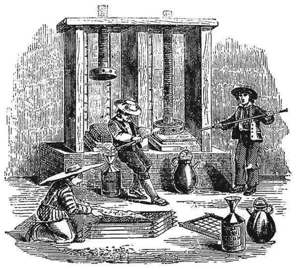 Эликсир. Парижский парфюмерный дом и поиск тайны жизни - i_005.jpg