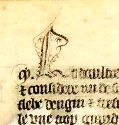 Дьявол или вервольф? Мотив оборотничества во французской демонологии ХV–ХVI вв. - i_004.jpg