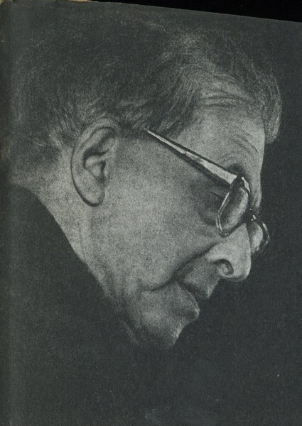 Тень деревьев - i_001.jpg