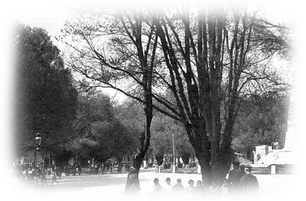 12 стульев. Золотой теленок. Коллекционное иллюстрированное издание - i_006.jpg