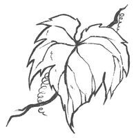 Пересмешник на рассвете. Книга 2 - i_005.jpg