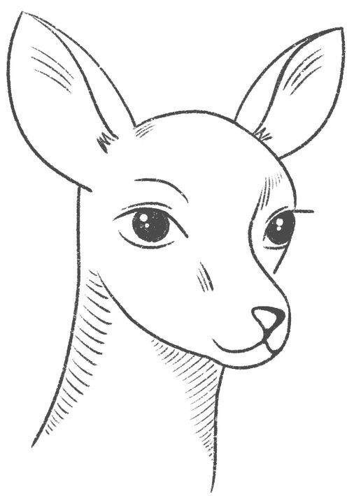 Пересмешник на рассвете. Книга 2 - i_007.jpg