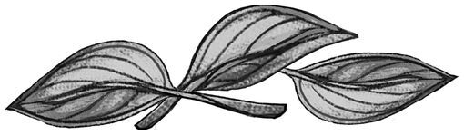 Мы придём из видений и снов - i_001.jpg