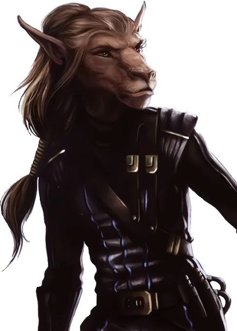 Гранд-адмирал. Том восьмой (СИ) - i_003.png