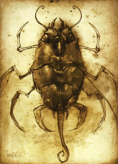 Гранд-адмирал. Том восьмой (СИ) - i_028.jpg