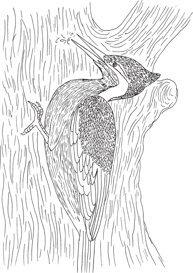 Джатаки. Сказания о Будде. Том II - i_006.png