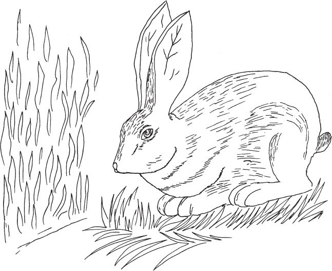 Джатаки. Сказания о Будде. Том II - i_012.png