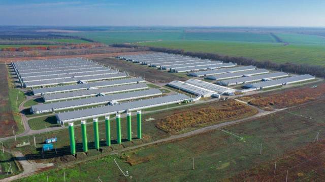 "Фантастика 2025-190". Компиляция. Книги 1-29 (СИ) - i_014.jpg