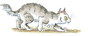 Весёлые приключения собаки. Дневник фокса Микки - i_008.jpg