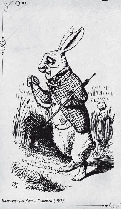 Соня в царстве Дива - i_016.jpg