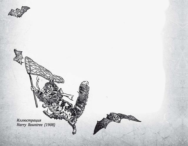 Соня в царстве Дива - i_019.jpg