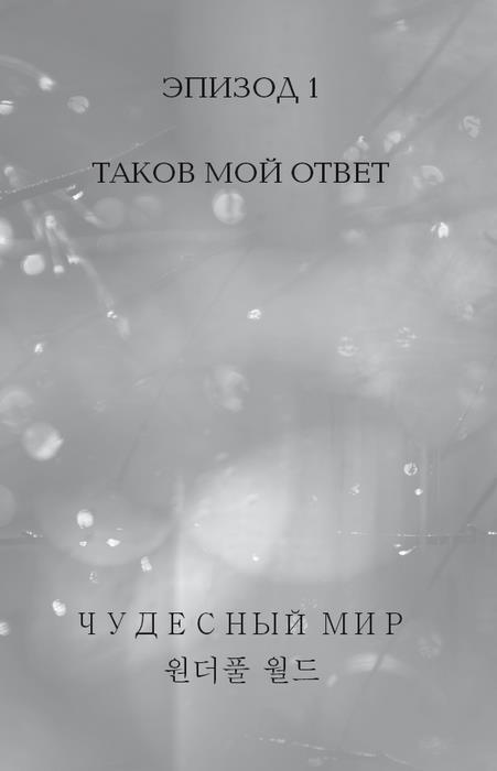 Чудесный мир. Том 1 - i_002.jpg
