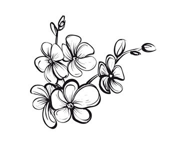 Женщина, у которой есть границы. Как научиться говорить “нет” без чувства вины и оставаться в гармонии с собой и другими - i_001.jpg