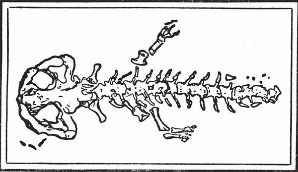 R.U.R. Средство Макропулоса. Война с саламандрами. Фантастические рассказы - _02.jpg