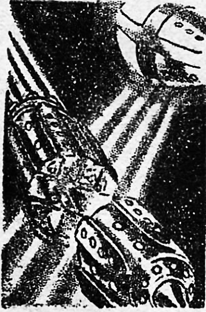 Звезда ужаса (ЛП) - img_13.jpg