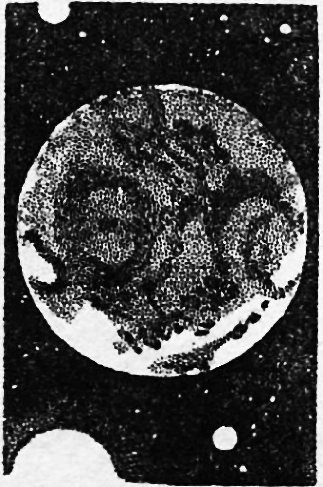 Звезда ужаса (ЛП) - img_14.jpg