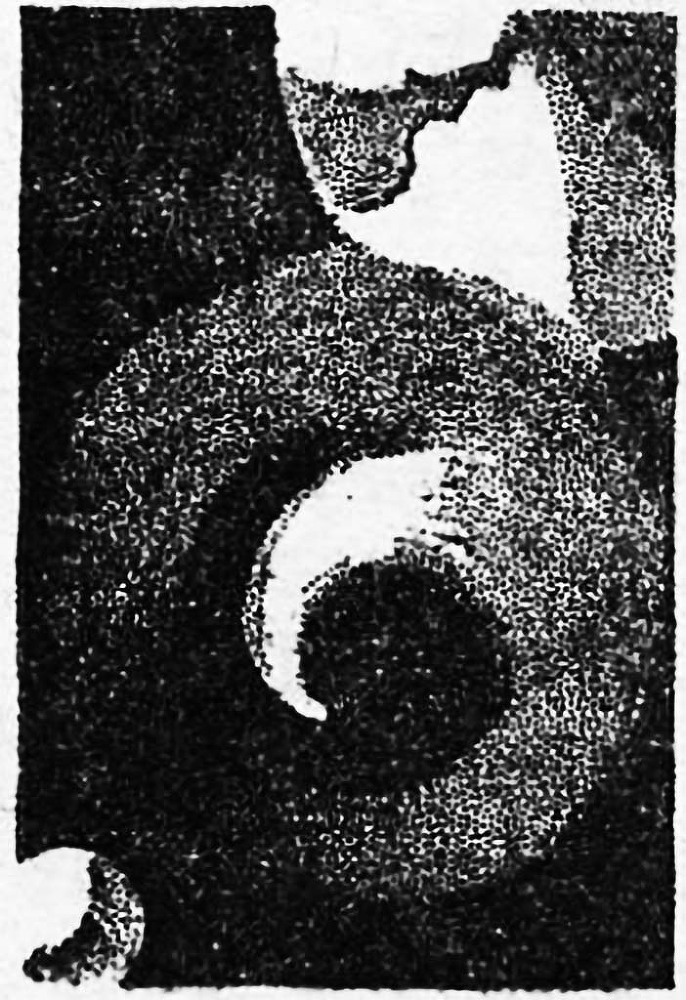 Звезда ужаса (ЛП) - img_18.jpg