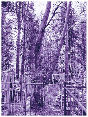 Мифы коми. От Пармы и небесной охоты до лесной колдуньи Ёмы и подземной чуди - i_019.jpg