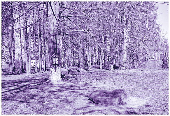 Мифы коми. От Пармы и небесной охоты до лесной колдуньи Ёмы и подземной чуди - i_040.jpg