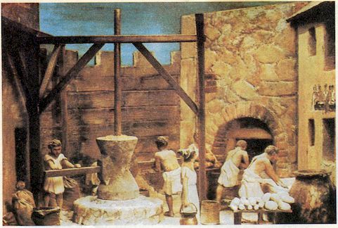 От пекарни до биофабрики. Обзор достижений биотехнологии - image00141.jpg