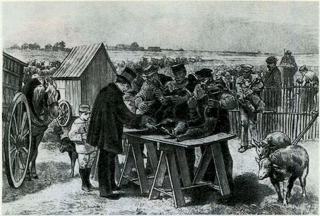 От пекарни до биофабрики. Обзор достижений биотехнологии - image0035.jpg