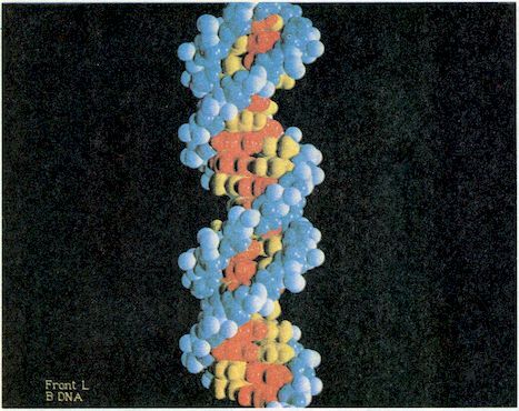 От пекарни до биофабрики. Обзор достижений биотехнологии - image0060.jpg