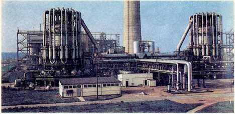 От пекарни до биофабрики. Обзор достижений биотехнологии - image0072.jpg