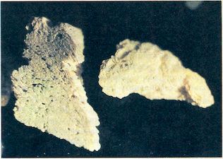 От пекарни до биофабрики. Обзор достижений биотехнологии - image00732.jpg