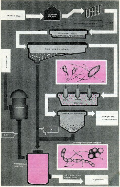 От пекарни до биофабрики. Обзор достижений биотехнологии - image0082.jpg
