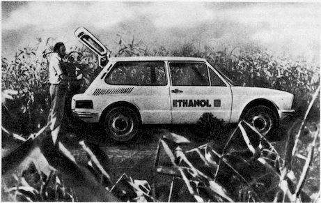 От пекарни до биофабрики. Обзор достижений биотехнологии - image0086.jpg