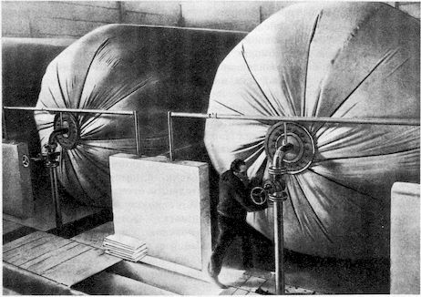 От пекарни до биофабрики. Обзор достижений биотехнологии - image0088.jpg