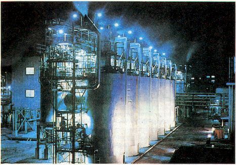 От пекарни до биофабрики. Обзор достижений биотехнологии - image0099.jpg