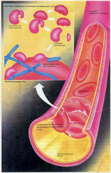 От пекарни до биофабрики. Обзор достижений биотехнологии - image0104.jpg