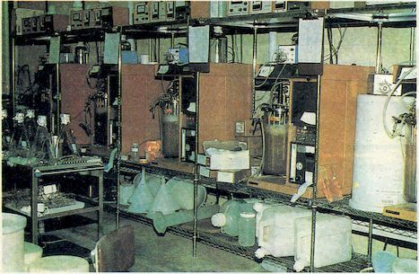 От пекарни до биофабрики. Обзор достижений биотехнологии - image0108.jpg