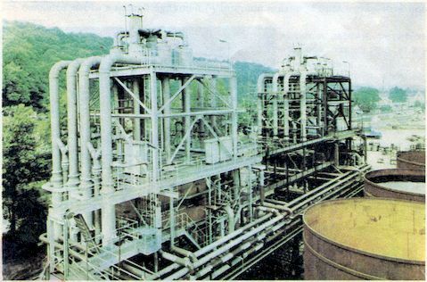 От пекарни до биофабрики. Обзор достижений биотехнологии - image01092.jpg