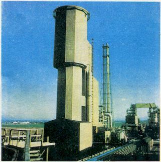 От пекарни до биофабрики. Обзор достижений биотехнологии - image01102.jpg