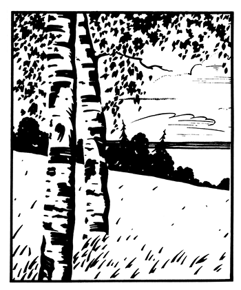 Собрание сочинений. Иллюстрированное издание - i_008.png