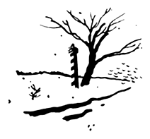 Собрание сочинений. Иллюстрированное издание - i_022.png