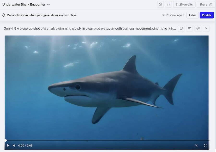 Нейровидео. Как делать видео в Runway - i60710.jpeg