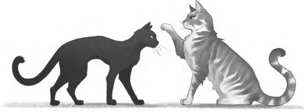 Дарина – разрушительница заклятий. Тайна кошачьего братства - i_004.jpg