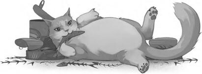 Дарина – разрушительница заклятий. Тайна кошачьего братства - i_006.jpg