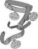 Дарина – разрушительница заклятий. Тайна кошачьего братства - i_007.jpg