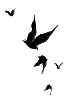 Птичий остров - i_001.jpg