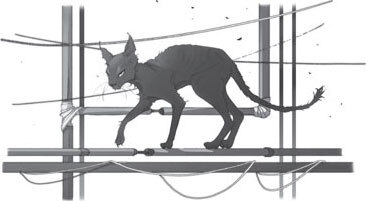 Дарина – разрушительница заклятий. Призраки мрачного ущелья - i_004.jpg