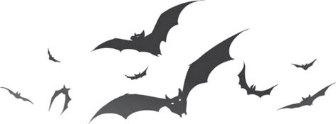 Дарина – разрушительница заклятий. Призраки мрачного ущелья - i_007.jpg