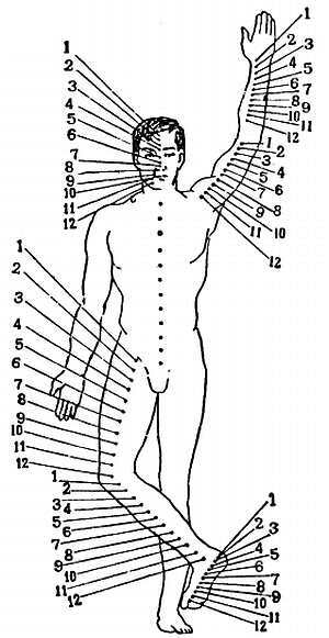 «Цигун и жизнь» («Цигун и спорт»)-03 (1994) - _04.jpg