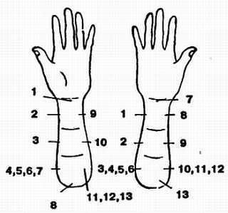 «Цигун и жизнь» («Цигун и спорт»)-03 (1994) - _05.jpg