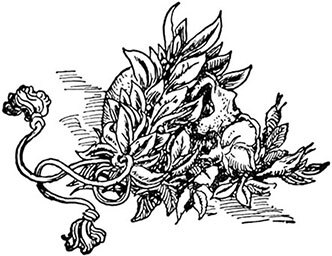 Приключения Джека Баллистера. Отто Серебряная Рука - i_013.jpg