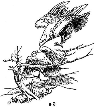 Приключения Джека Баллистера. Отто Серебряная Рука - i_039.jpg