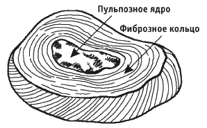Грыжа позвоночника. Безоперационное лечение и профилактика - _011.png